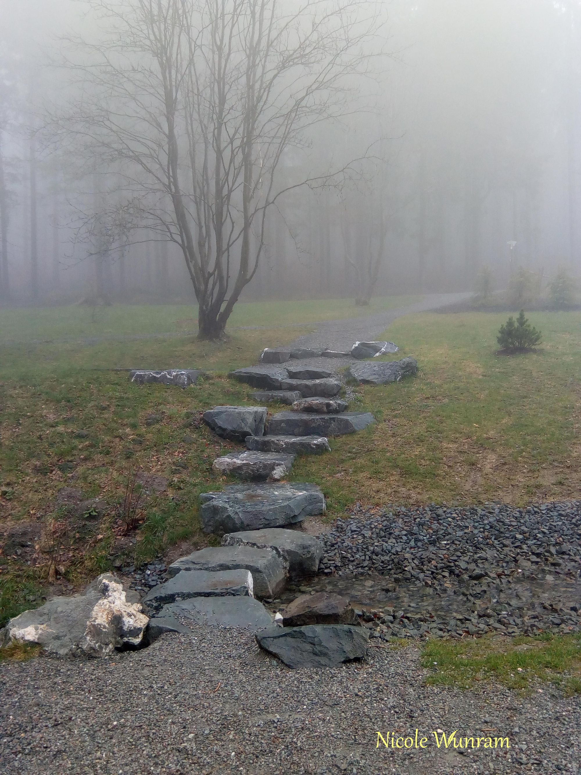 Diemelquelle im Nebel